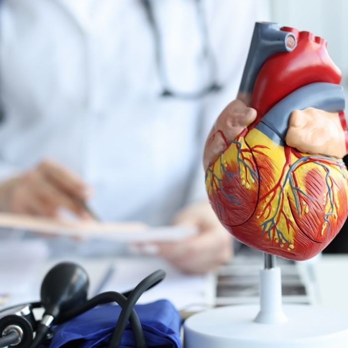 Was leisten sie in der Herzmedizin?