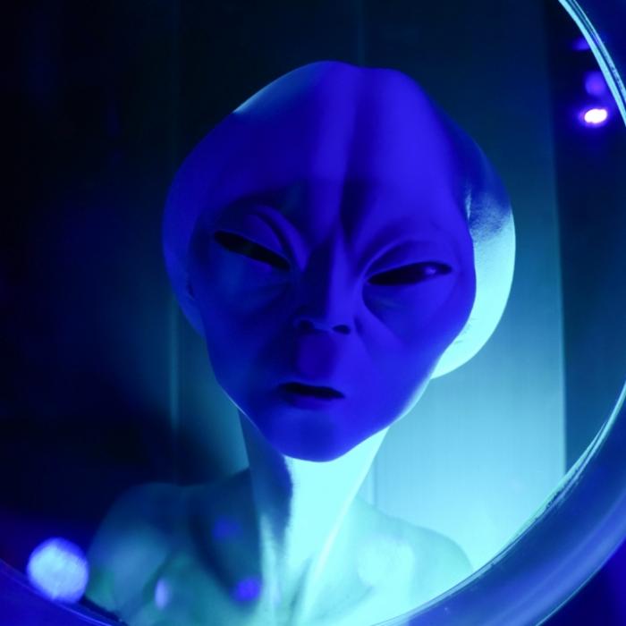 Welcher Alien hat hier sein Embryo hinterlassen?