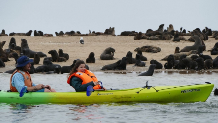 Anna und die wilden Tiere bei Das Erste