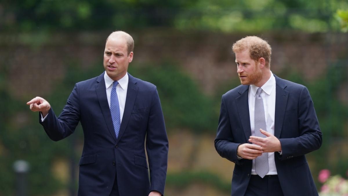 Robert Fellowes, der Onkel von Prinz William (links) und Prinz Harry (rechts), ist gestorben. (Foto)