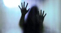 In Wien wurde eine Frau von neun Männern vergewaltigt. Die mutmaßlichen Täter streiten alles ab.