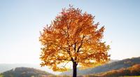 Können wir uns auf einen goldenen Oktober freuen?