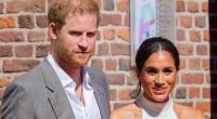 Prinz Harry und Meghan Markle sind aus dem inneren Kreis der Briten-Royals verstoßen worden - und bei der krebskranen Prinzessin von Wales explizit unerwünscht.