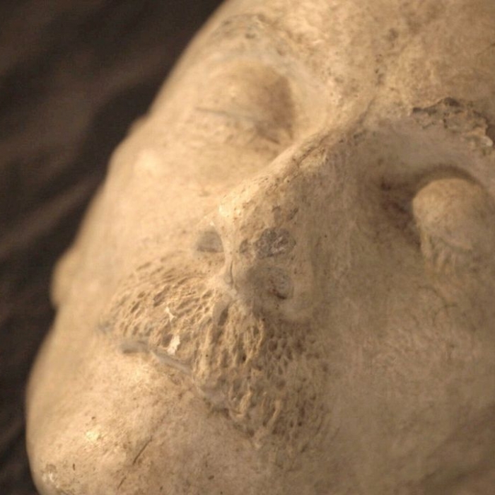Leben, Leid und Tod bei 3sat
