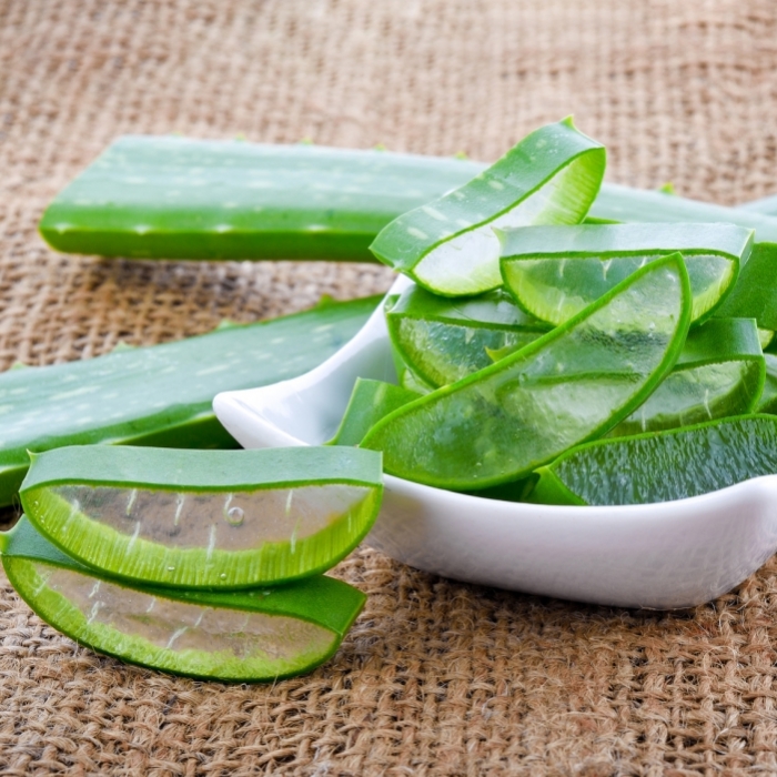 Wundermittel! Das können Sie mit Aloe Vera alles machen