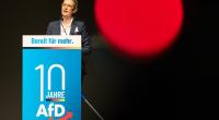 Die Alternative für Deutschland legt in aktuellen Umfragen weiter zu - derzeit liegt die Zustimmung für die AfD bei 18 Prozent.