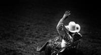 Bei einem Rodeo-Wettkampf in New South Wales wurde ein 62-Jähriger getötet. (Symbolbild)