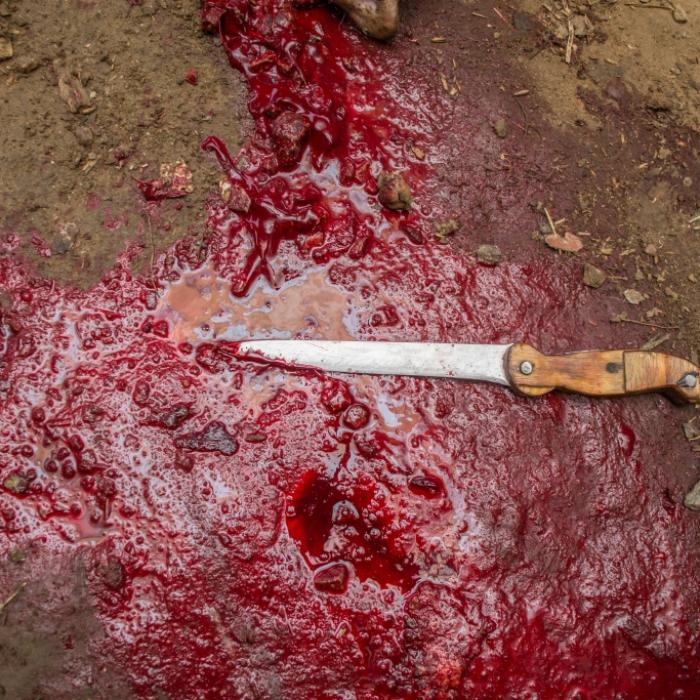 Gesicht gehäutet! Schülerin (17) brutal ermordet
