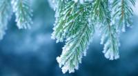 Der Winter schlägt an den kommenden Tagen eiskalt zu.