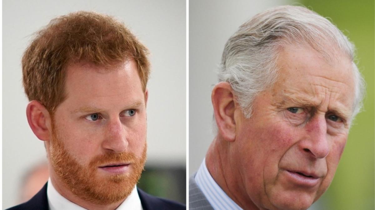 Prinz Harry und Prinz Charles werden Weihnachten nicht gemeinsam feiern. (Foto)