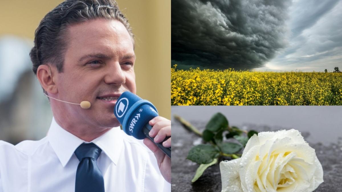 Die News des Tages am 14.08.2022 zu Stefan Mross, Wettervorhersage aktuell und Trauer um "Beverly Hills, 90210"-Star. (Foto)