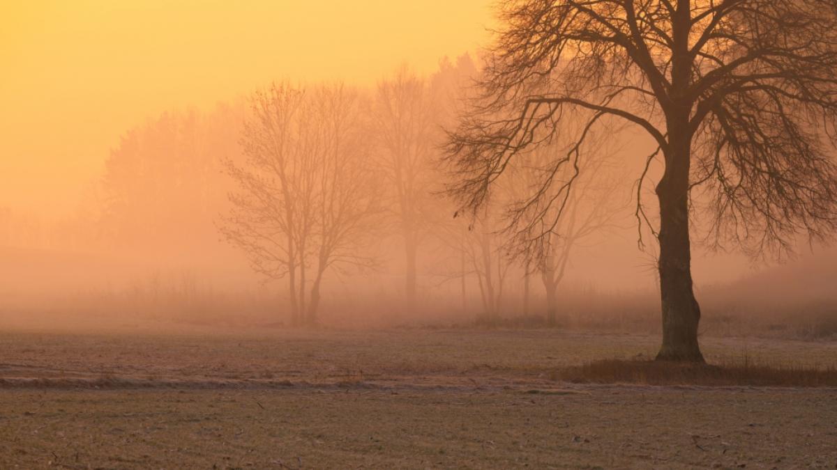 Wettervorhersage: Es wird Nebel geben. (Foto)