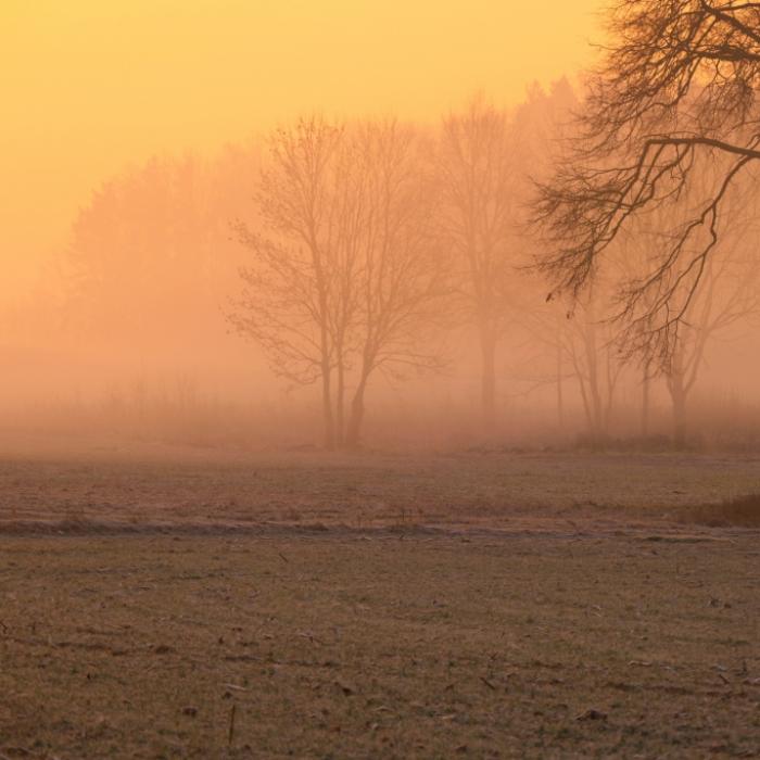 Fulda - Nebel am Mittwoch möglich