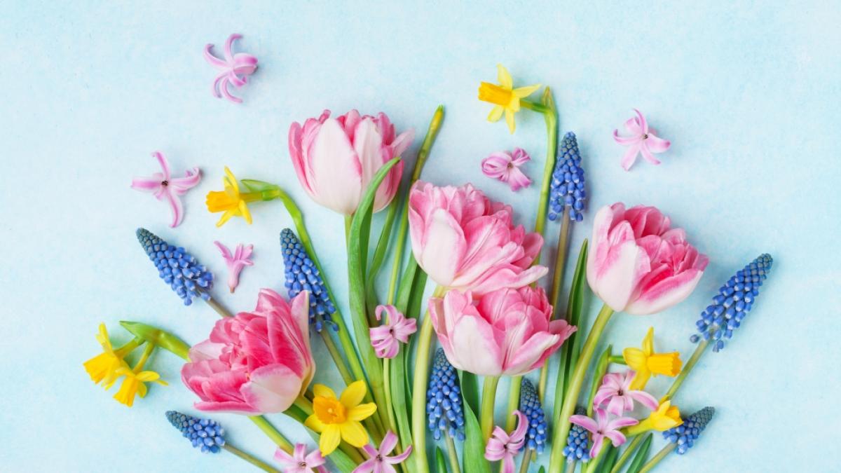 NOAA korrigiert ihre Langfristprognose f&uuml;r den Fr&uuml;hling nach oben. (Foto)