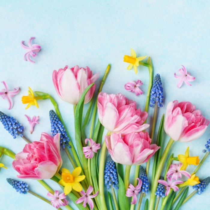 Zu warmer Frühling erwartet - mit Folgen für die kommenden Monate