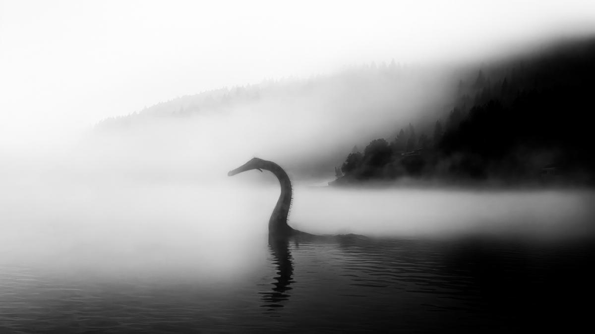 Gibt es eine einfache Erkl&auml;rung f&uuml;r das angebliche Ungeheuer von Loch Ness? (Foto)
