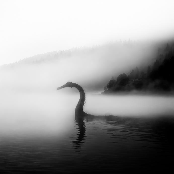 Rätsel um Nessie gelöst? DAS könnte das Ungeheuer wirklich sein