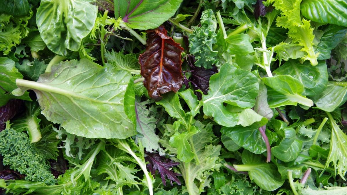 Edeka ruft aktuell seinen Salatmix zur&uuml;ck. (Foto)