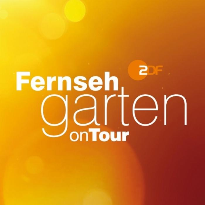Heute live aus Erfurt! Diese Gäste begrüßt Kiwi am Sonntag