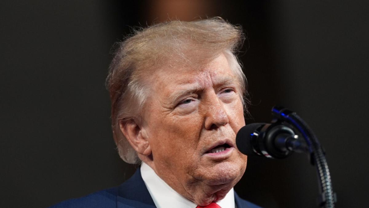 Trump &uuml;bersch&uuml;ttet Katie Zacharia mit Lob &ndash; dann fliegen ihre P&ouml;bel-Posts auf. (Foto)
