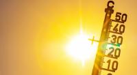 Droht uns 2025 erneut ein Hitzesommer?
