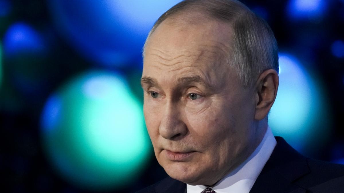Wladimir Putin in Nahaufnahme: Auf diesem Foto vom 21. Februar ist die Narbe auf der Stirn deutlich zu erkennen. (Foto)