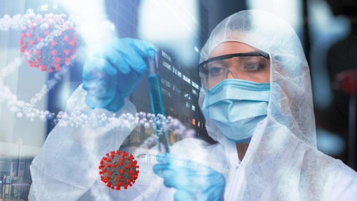 Eine Studentin hat ein neues Coronavirus entdeckt.
