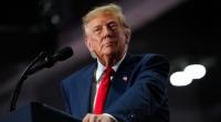 Ein Fox-Moderator stellt sich vor laufender Kamera offen gegen den Kurs von Donald Trump.