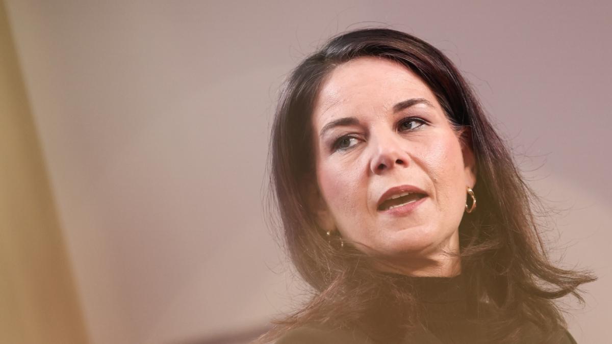 Die Kritik am neuen Job von Annalena Baerbock rei&szlig;t nicht ab. (Foto)