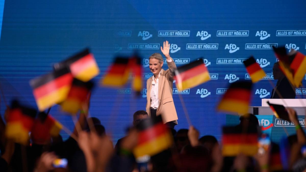 AfD legt in neuer Umfrage zu: Abstand zur Union w&auml;chst erneut (Foto)