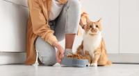 Nicht jedes Lebensmittel ist für Katzen geeignet. Manche können sogar giftig sein.