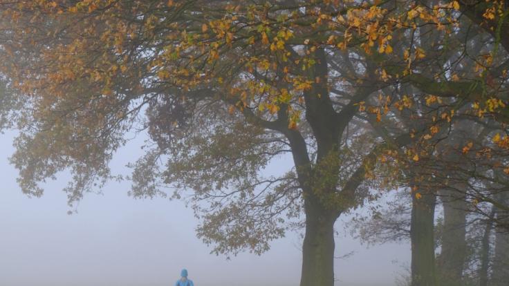 Das Deutschland-Wetter am Wochenende bleibt unbeständig.