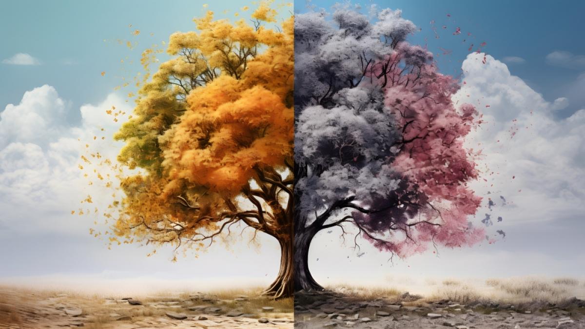 Der Hundertj&auml;hrige Kalender verr&auml;t, wie das Wetter im Jahr 2024/25 werden k&ouml;nnte. (Foto)