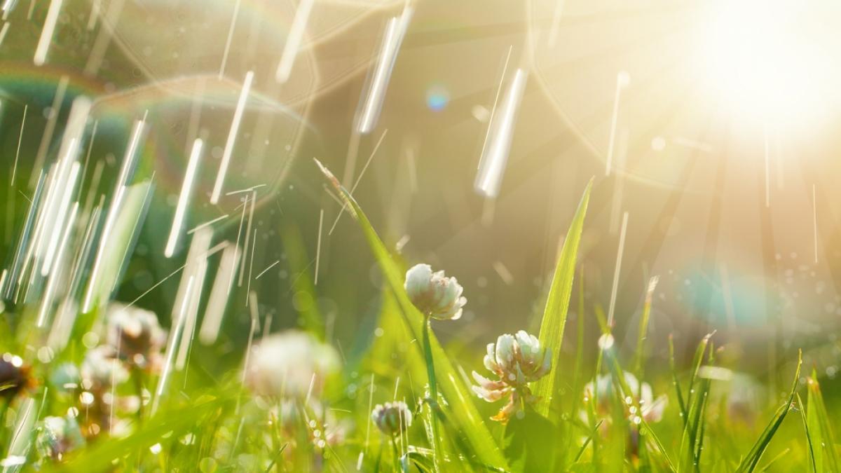 Meteorologen prophezeien eine verfr&uuml;hte Schafsk&auml;lte. (Foto)