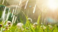Meteorologen prophezeien eine verfrühte Schafskälte.