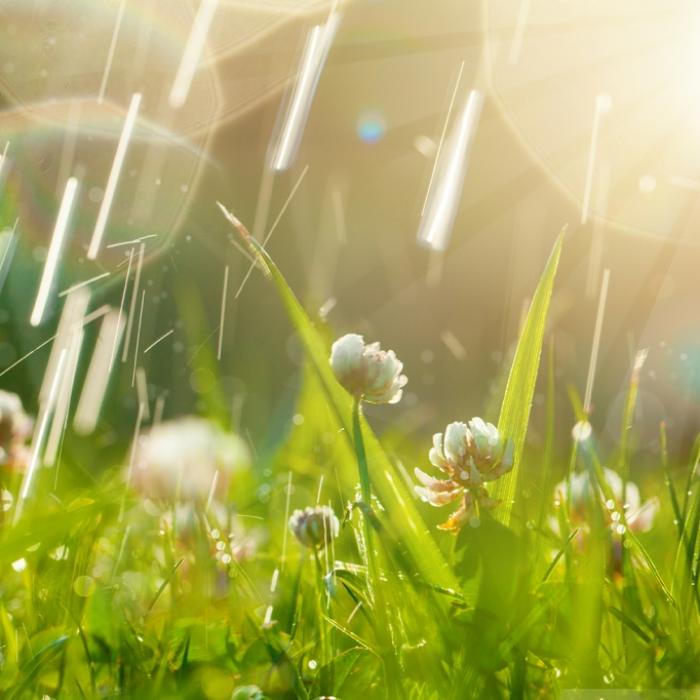 Verfrühte Schafskälte, Starkregen und Co.: Fällt der Sommeranfang ins Wasser?