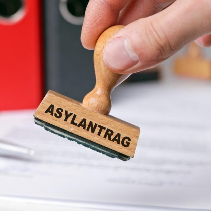 Ampel-Zoff! Grüne fordern höhere Zahlungen für Asylbewerber