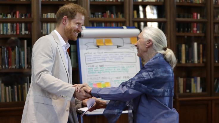 Dr. Goodall und Prinz Harry auf einer