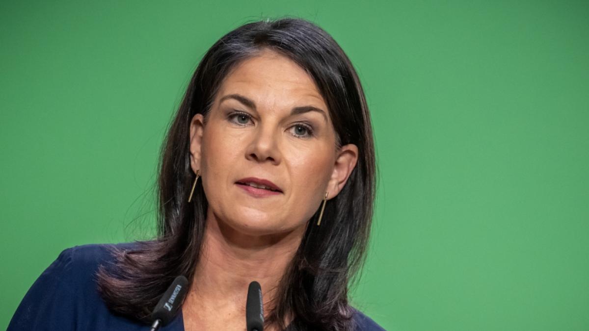 Mit einem gef&auml;lschten Foto hetzen AfD-Anh&auml;nger gegen Annalena Baerbock. (Foto)