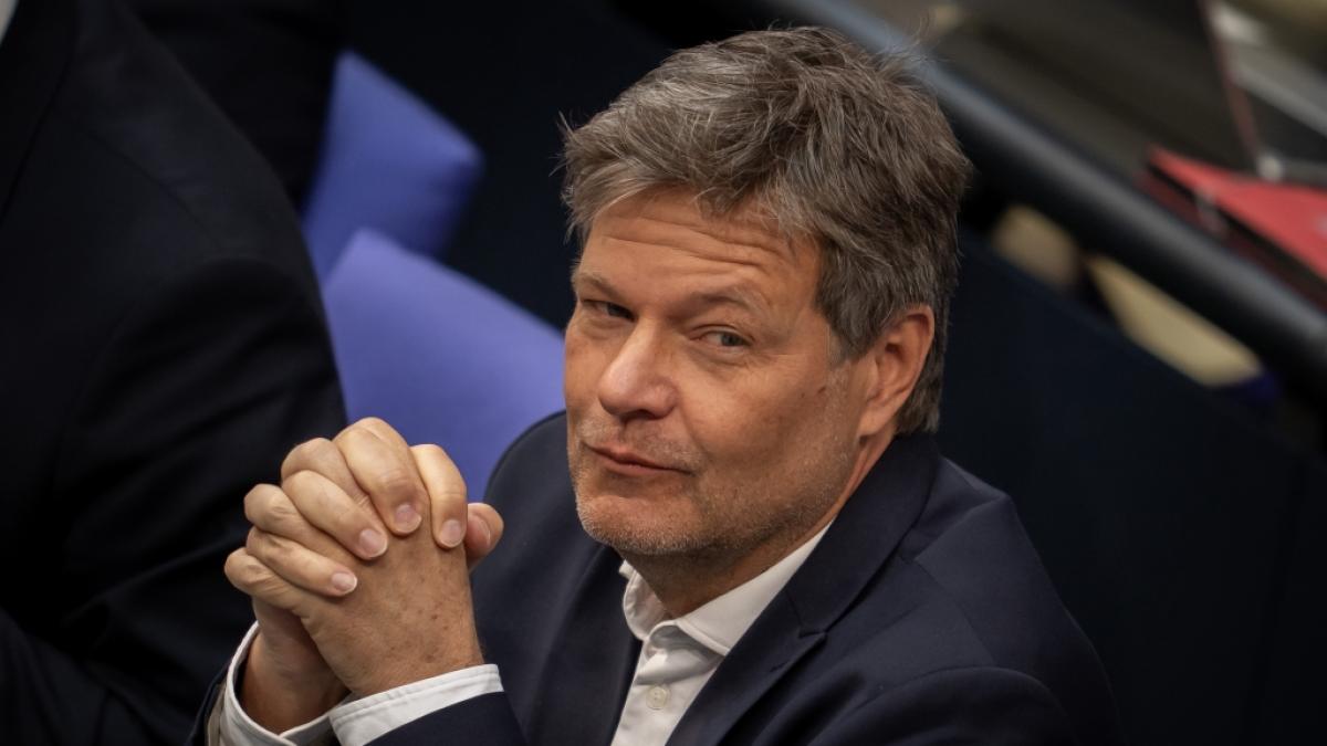 Robert Habeck lobt den deutschen Atomausstieg und &Ouml;konomen kontern eiskalt. (Foto)