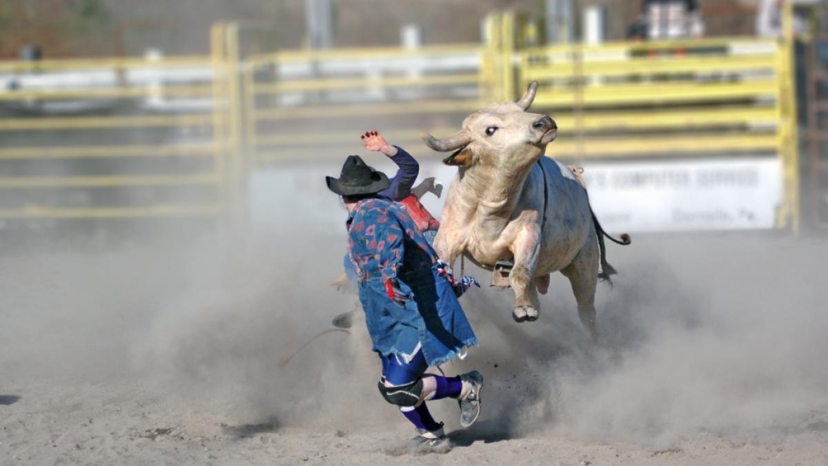 Immer wieder kommt es beim Rodeo zu Unf&auml;llen. (Foto)