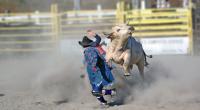 Immer wieder kommt es beim Rodeo zu Unfällen.