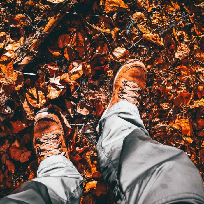 Mann wurde seit 2020 vermisst! Pilzsammler entdeckt Knochen im Wald