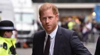 Prinz Harry hat mit seiner neuen Netflix-Serie 