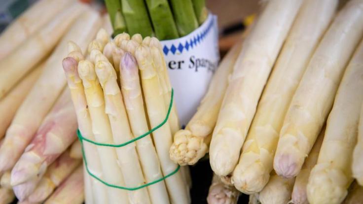 Weil die Erntesaison später startete, ist Spargel derzeit rund 40 Prozent teurer als im Vorjahr.