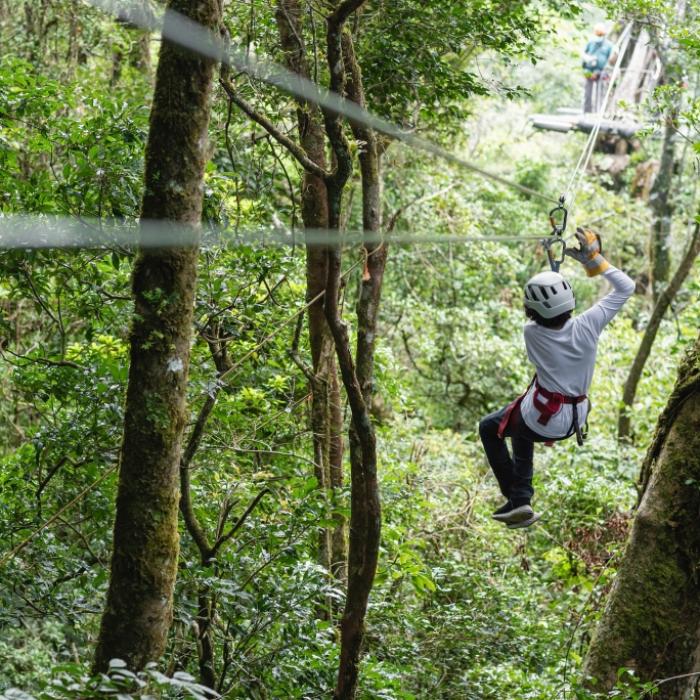 Sturz in 8 Meter Tiefe! Schwer verletzter Jugendlicher aus Schlucht gezogen
