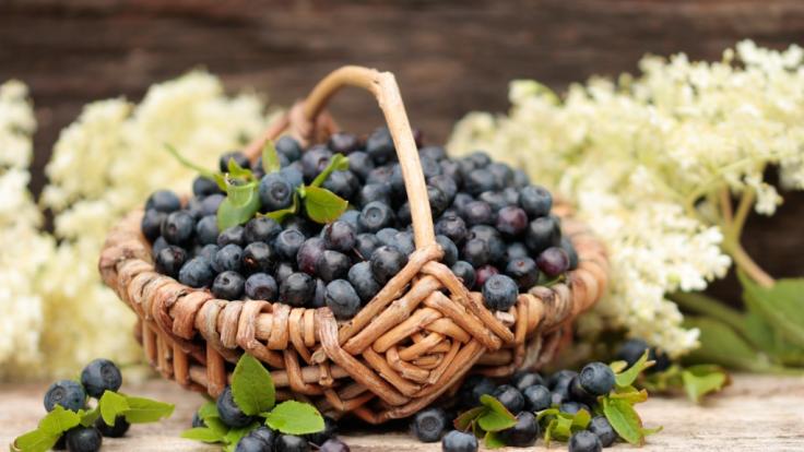 In einem aktuellen Produktrückruf wird vor dem Verzehr von Waldheidelbeeren der Firma Lausitzer gewarnt (Symbolbild).