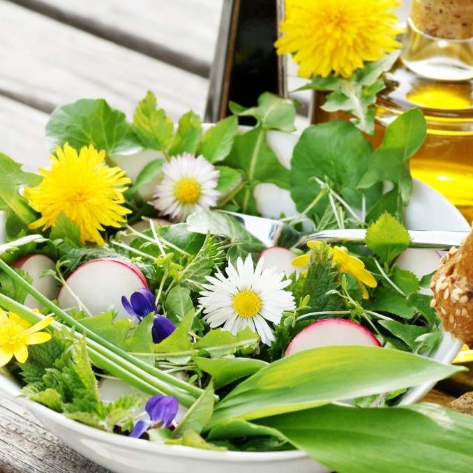 Diese Wildkräuter und Beeren sind echte Nährstoffbomben