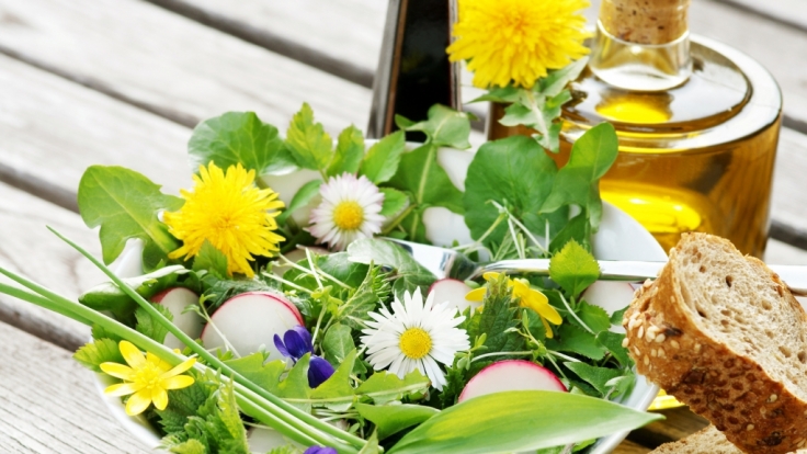 Superfoods kann man auch in Deutschland direkt von der Wiese pflücken.