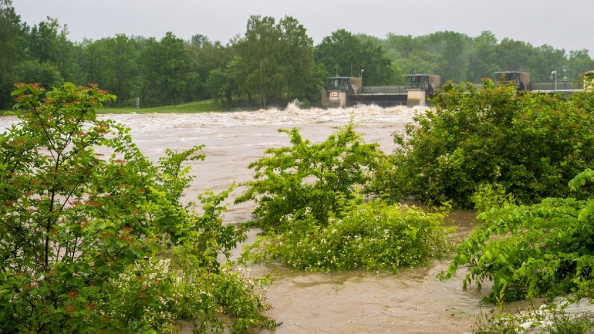 In G&uuml;nzburg ist die Donau &uuml;ber das Ufer getreten.&nbsp;Nach den ergiebigen Regenf&auml;llen der letzten Tage wird Hochwasser erwartet. (Foto)